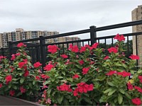 <b>City Side Balcony Railing</b>